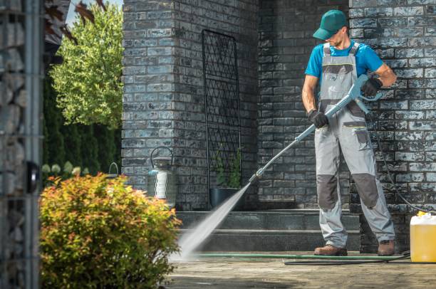 Best Animal Enclosure Cleaning  in New Vienna, OH